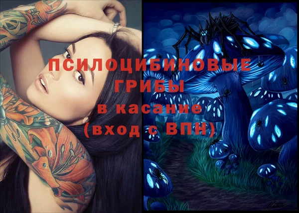 гидропоника Абаза