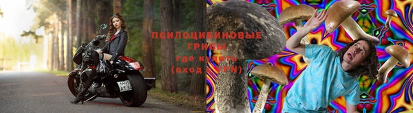 каннабис Алзамай