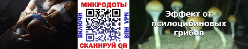 Псилоцибиновые грибы MAGIC MUSHROOMS цена наркотик OMG зеркало Мостовской